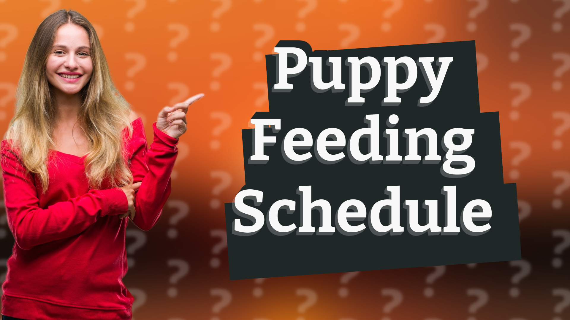 Puppy Feeding Schedule