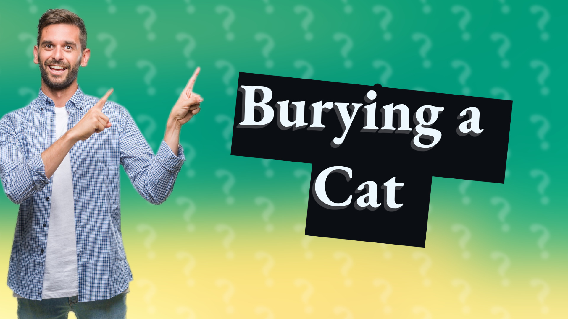 Burying a Cat
