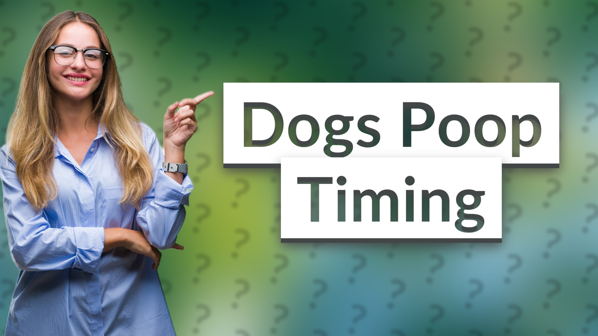 Dogs Poop Timing