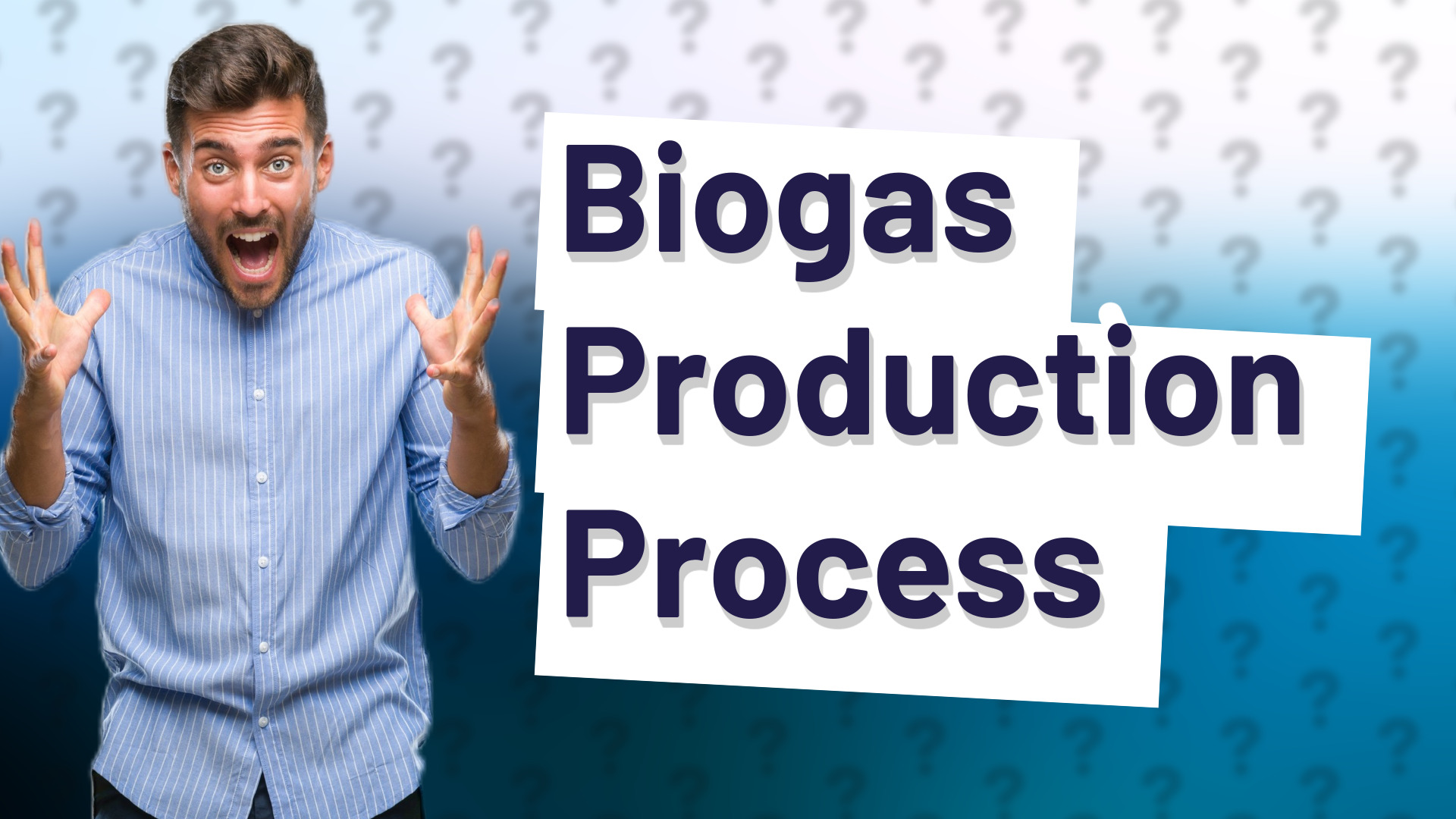 Biogas Production Process