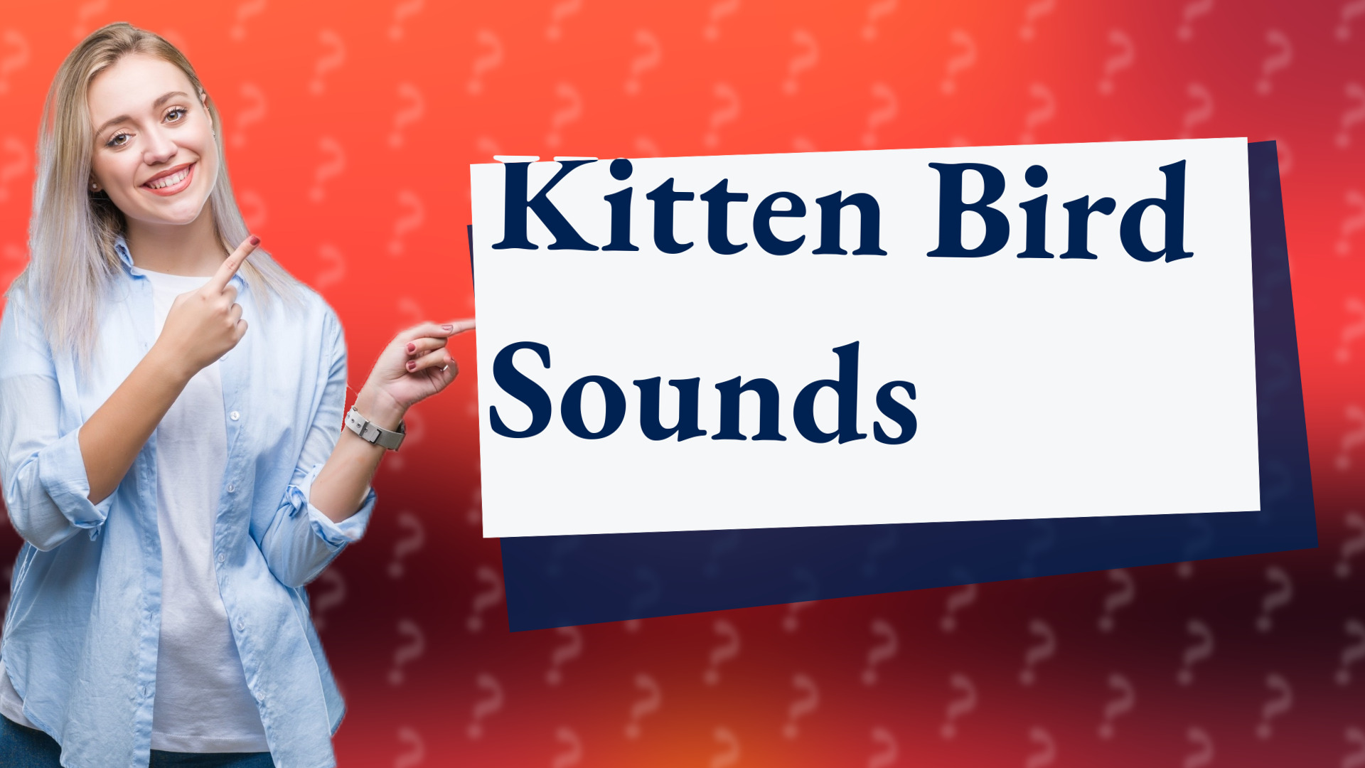 Kitten Bird Sounds