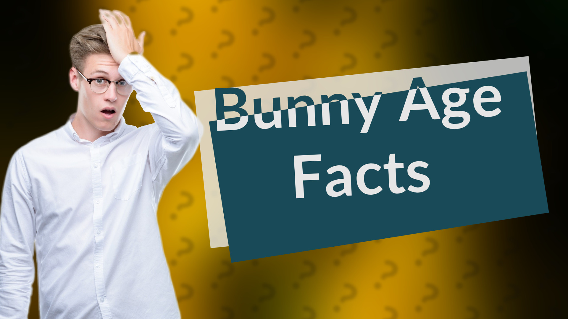 Bunny Age Facts