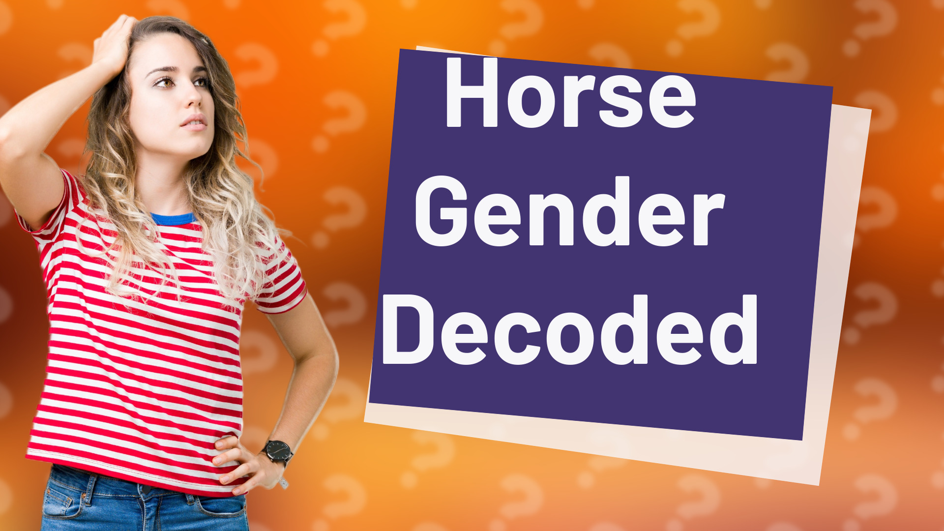 Horse Gender Decoded
