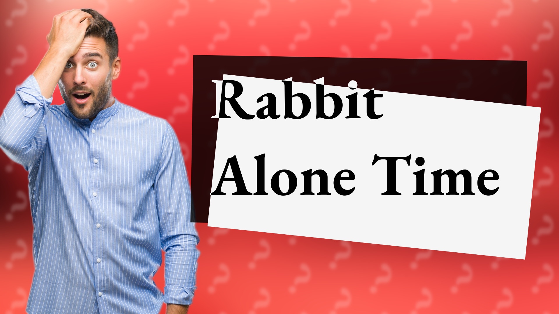 Rabbit Alone Time