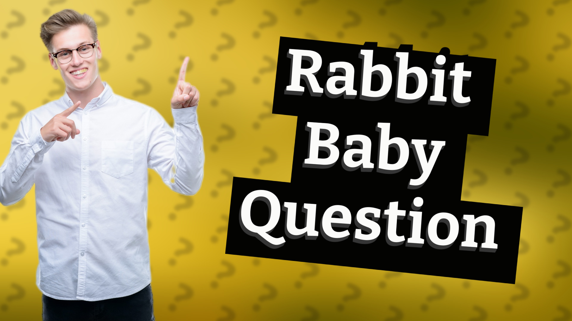Rabbit Baby Question