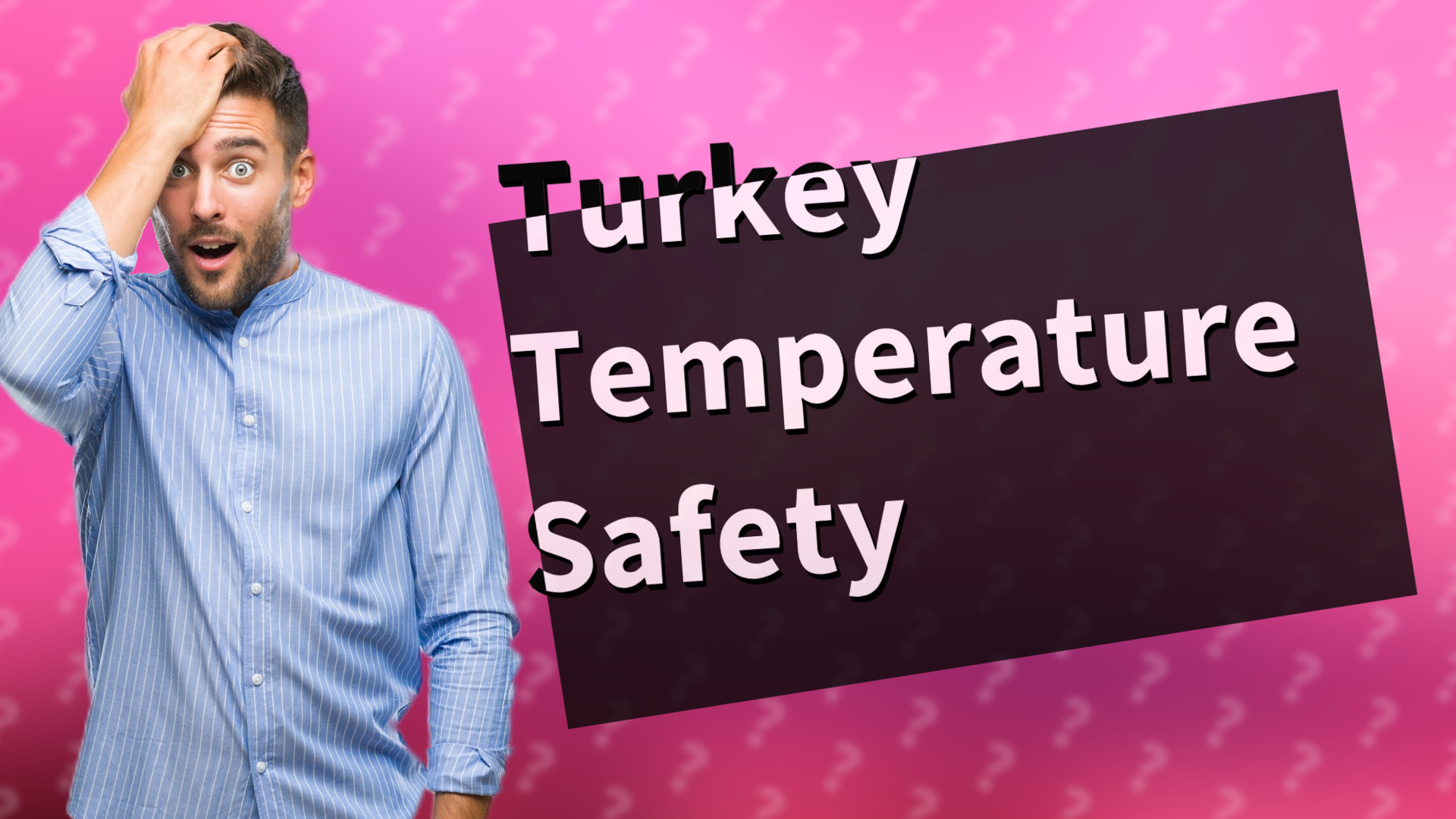 Turkey Temperature Safety
