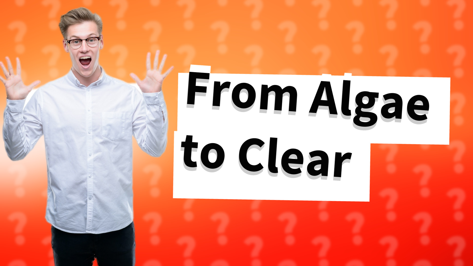 From Algae to Clear