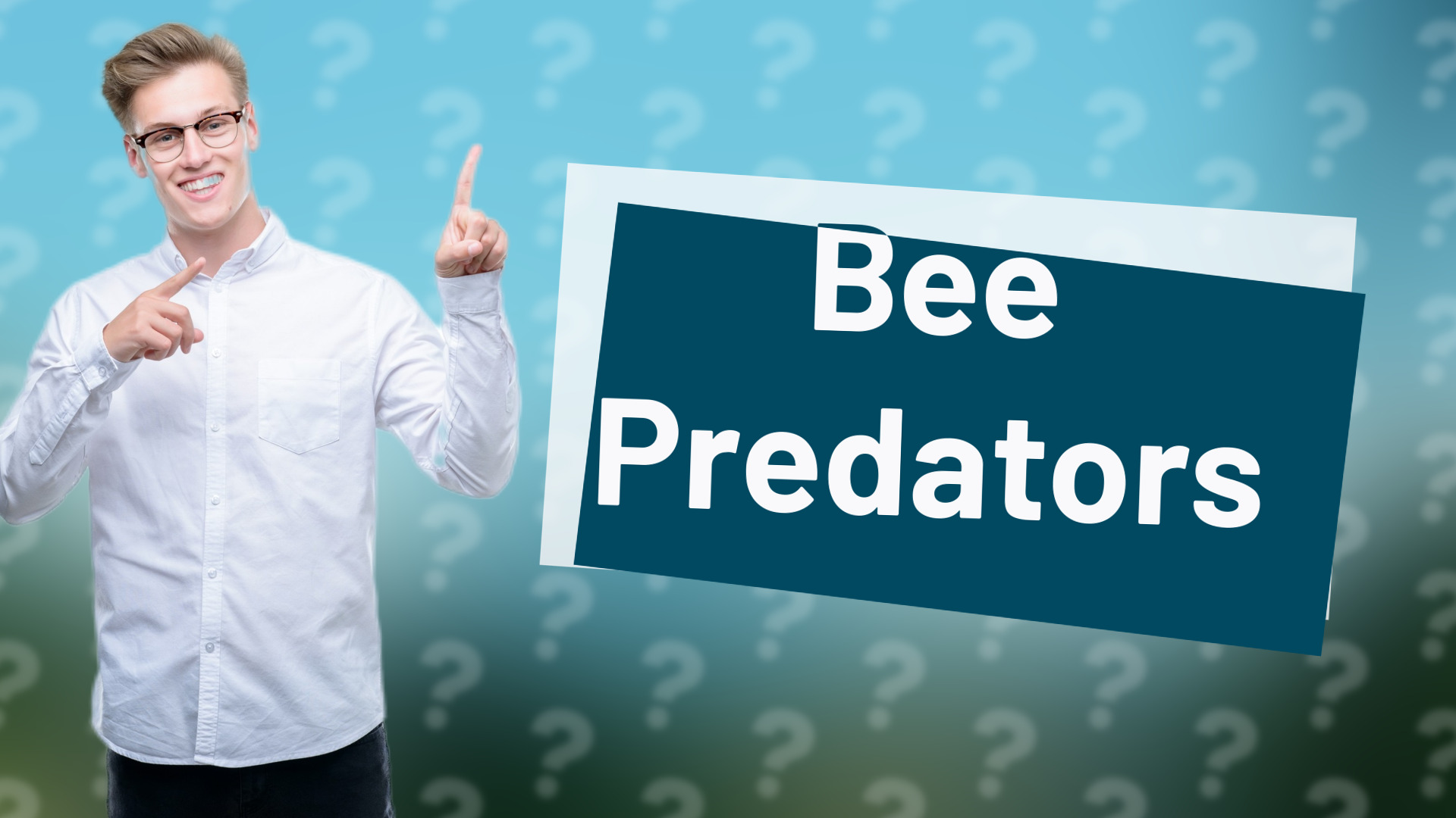 Bee Predators