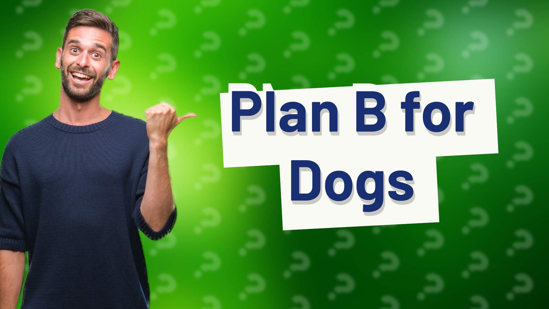 Plan B for Dogs