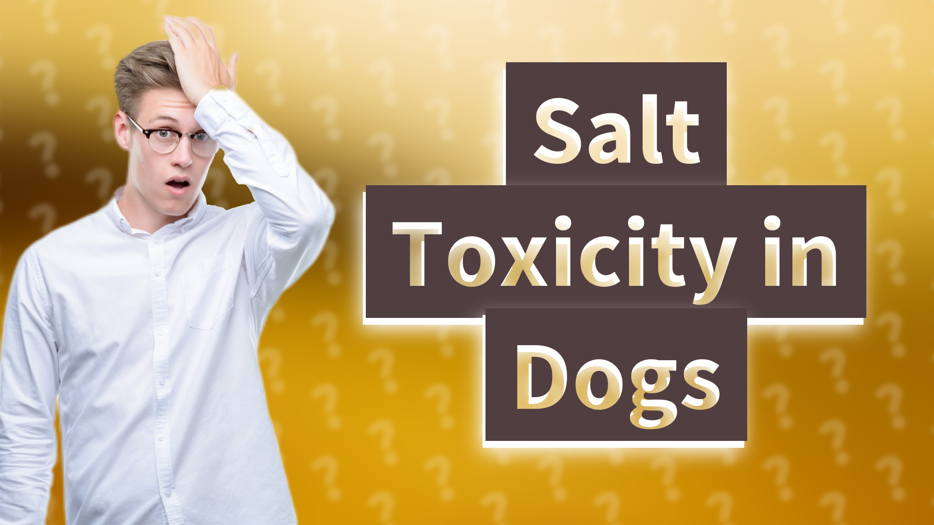 Salt Toxicity in Dogs