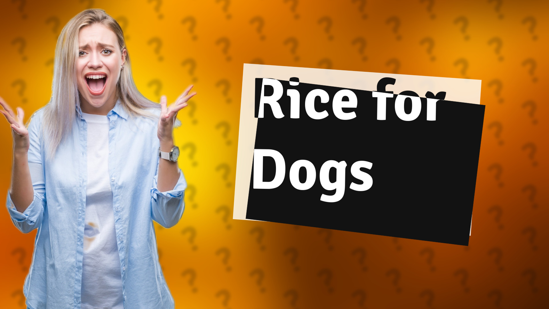 Rice for Dogs