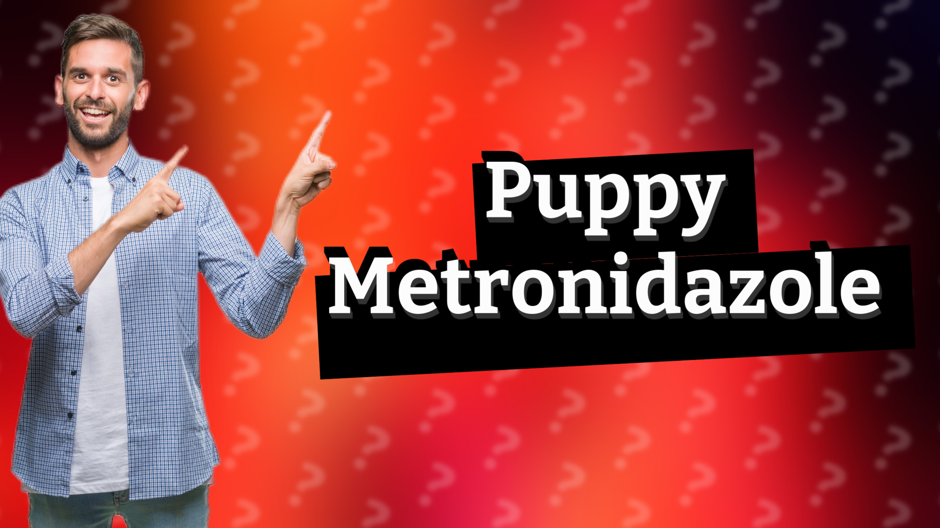 Puppy Metronidazole
