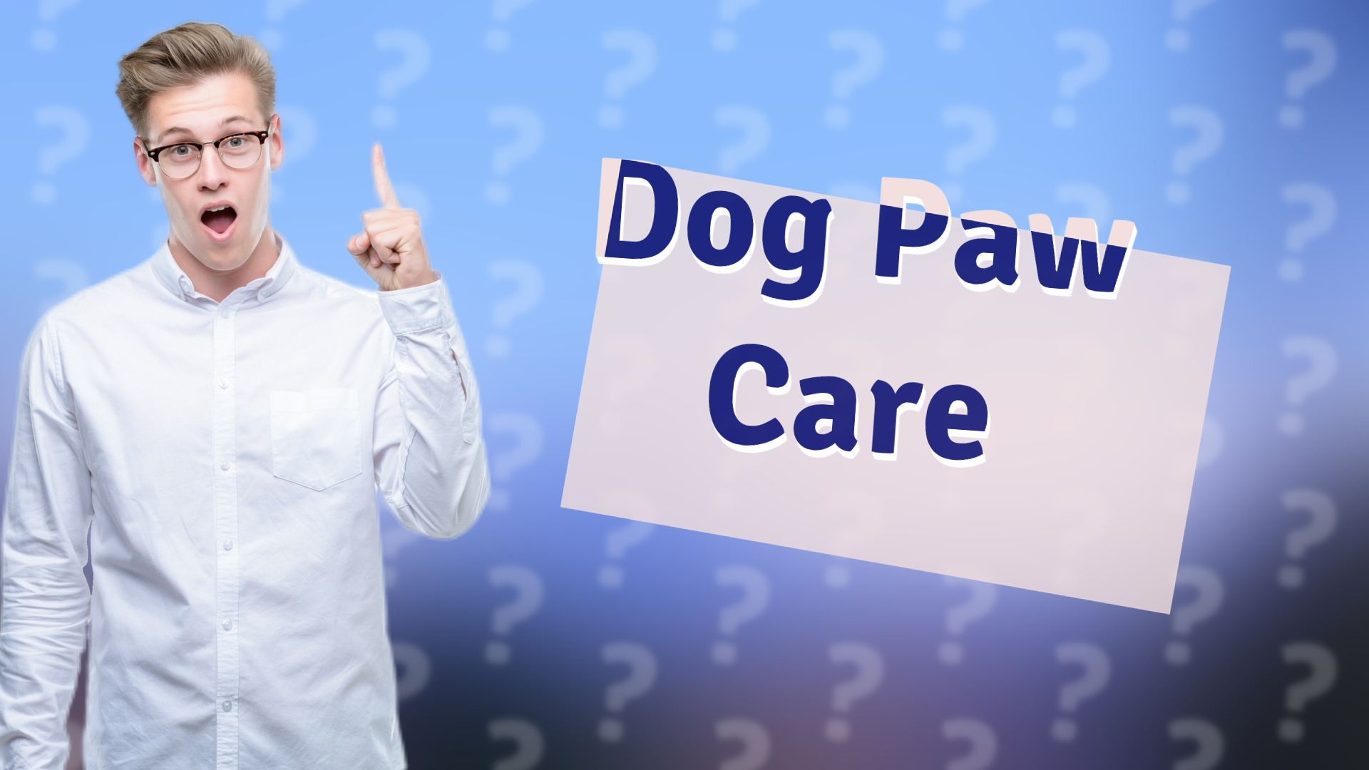 Dog Paw Care