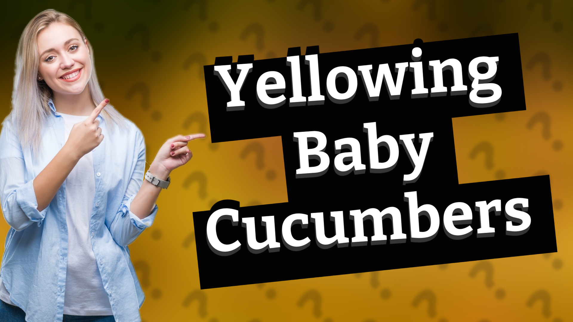Yellowing Baby Cucumbers