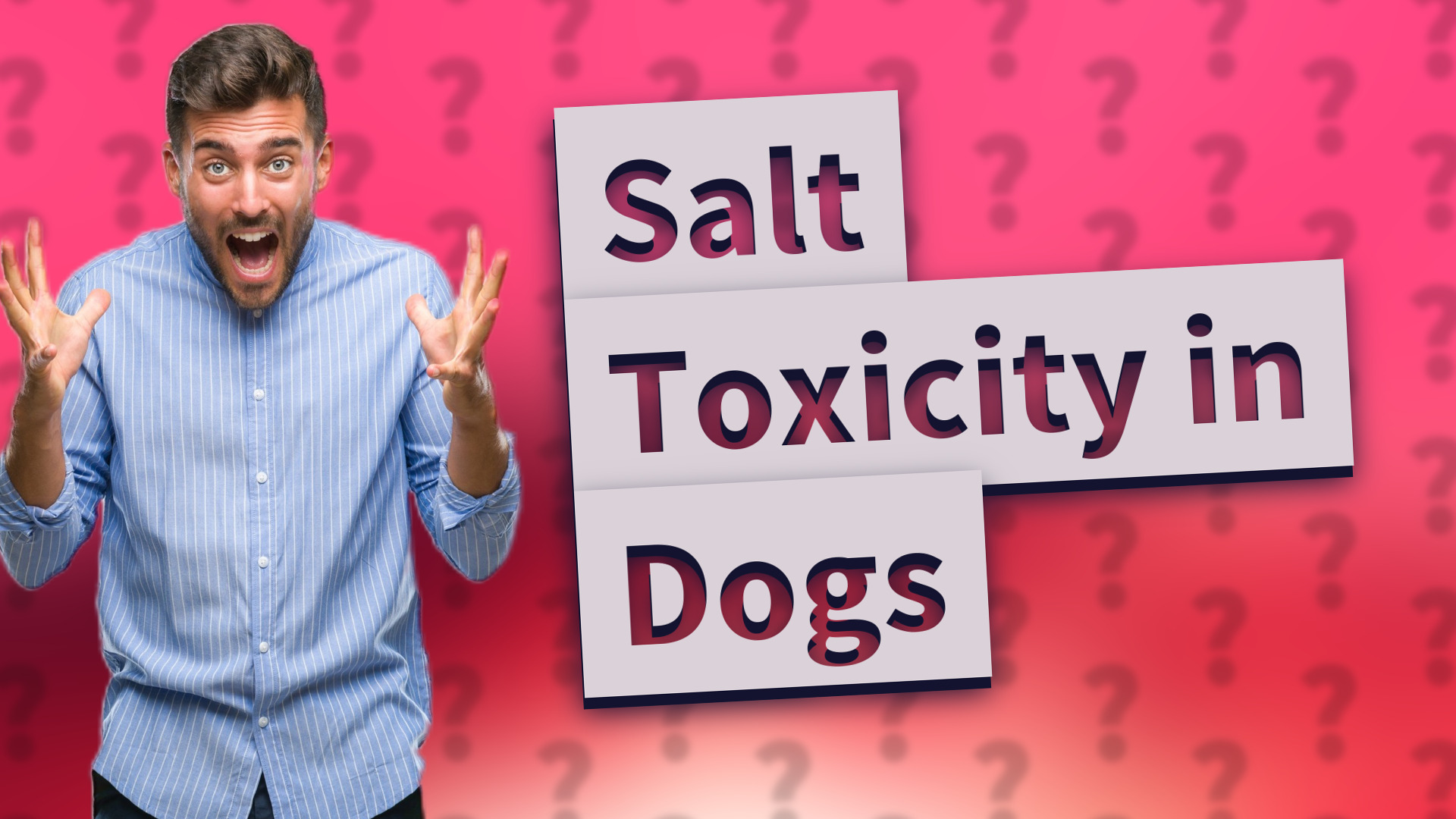Salt Toxicity in Dogs
