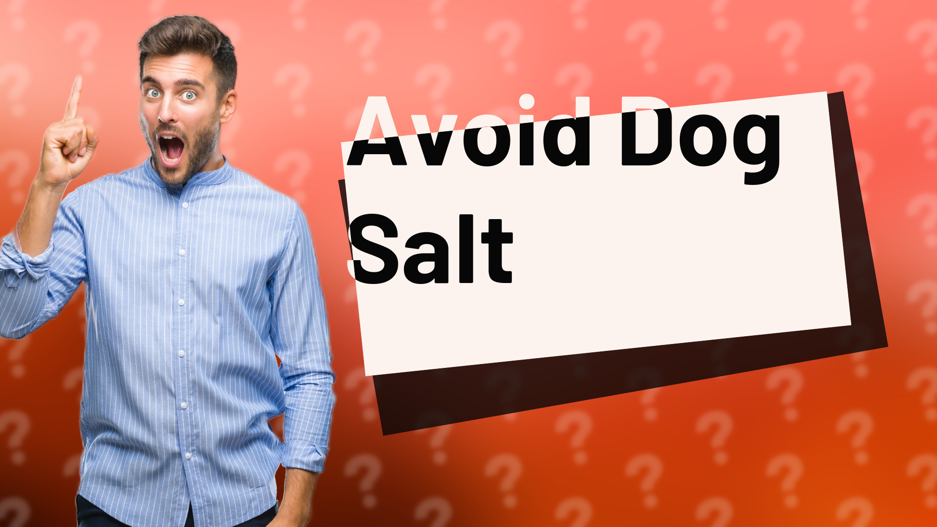 Avoid Dog Salt