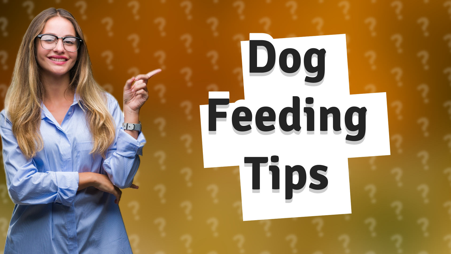 Dog Feeding Tips