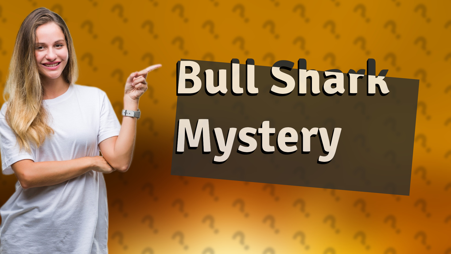 Bull Shark Mystery