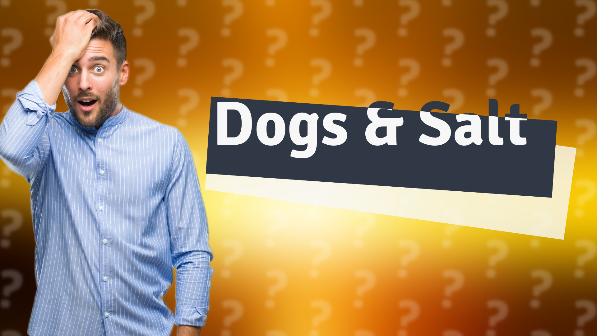 Dogs & Salt