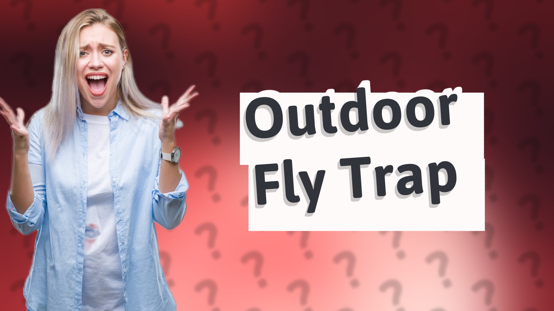 Outdoor Fly Trap