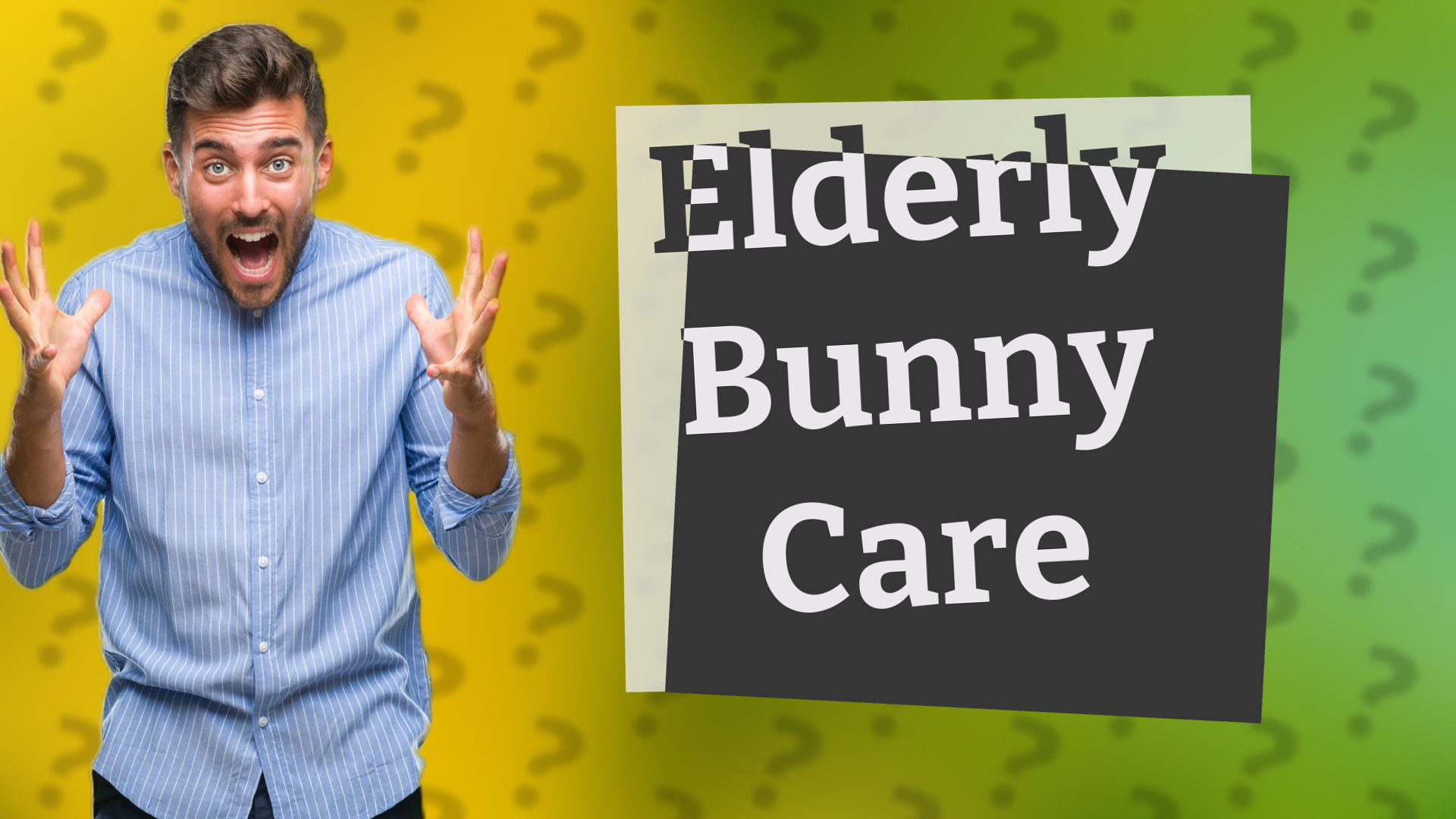 Elderly Bunny Care