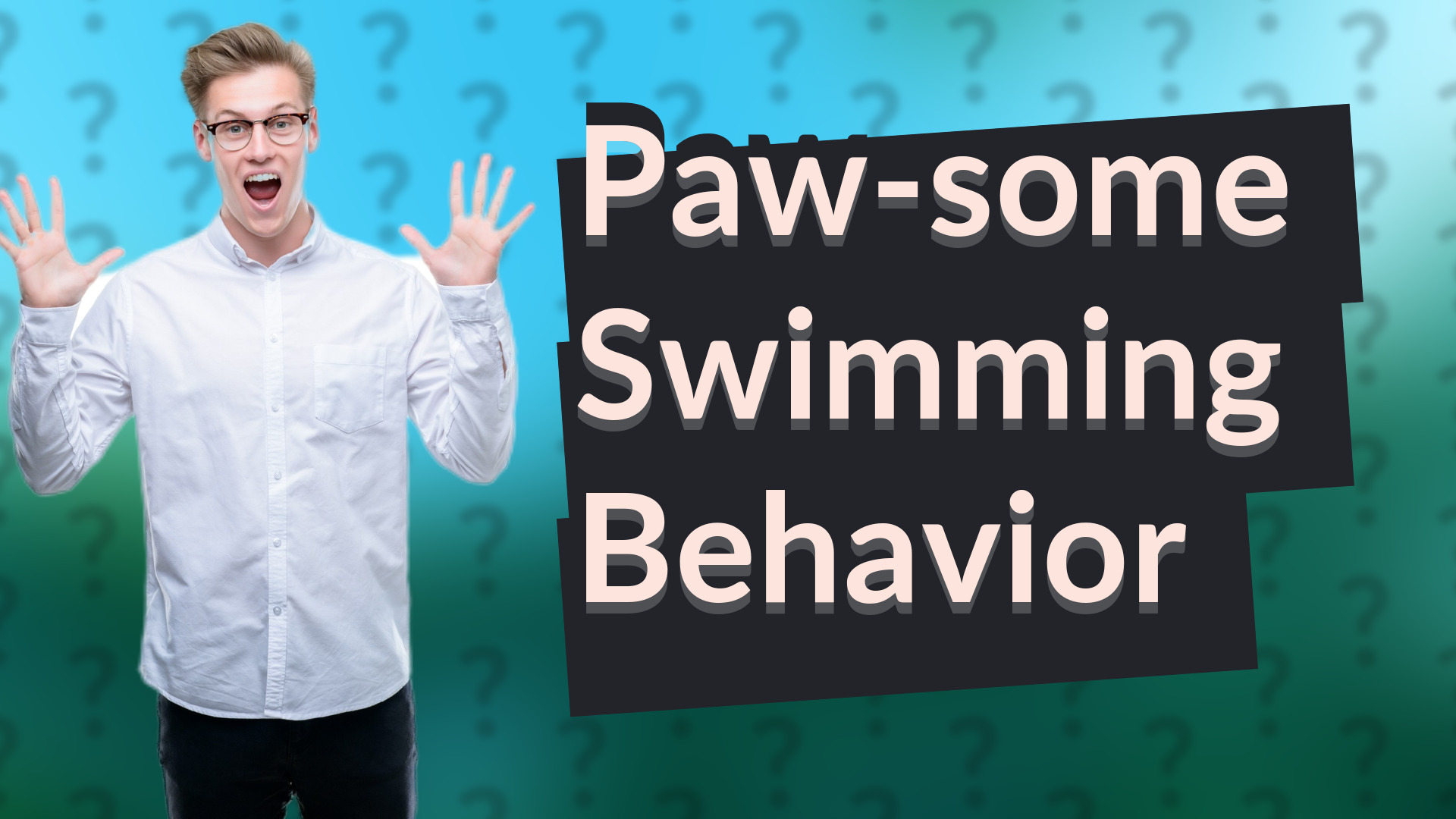 Paw-some Swimming Behavior