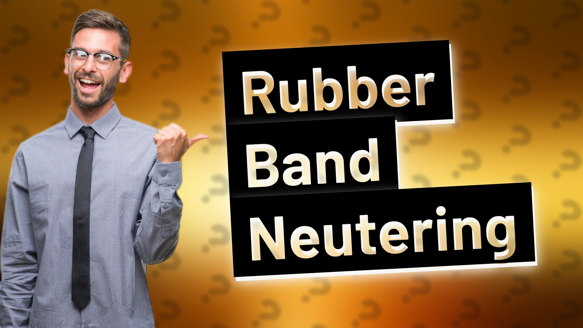 Rubber Band Neutering