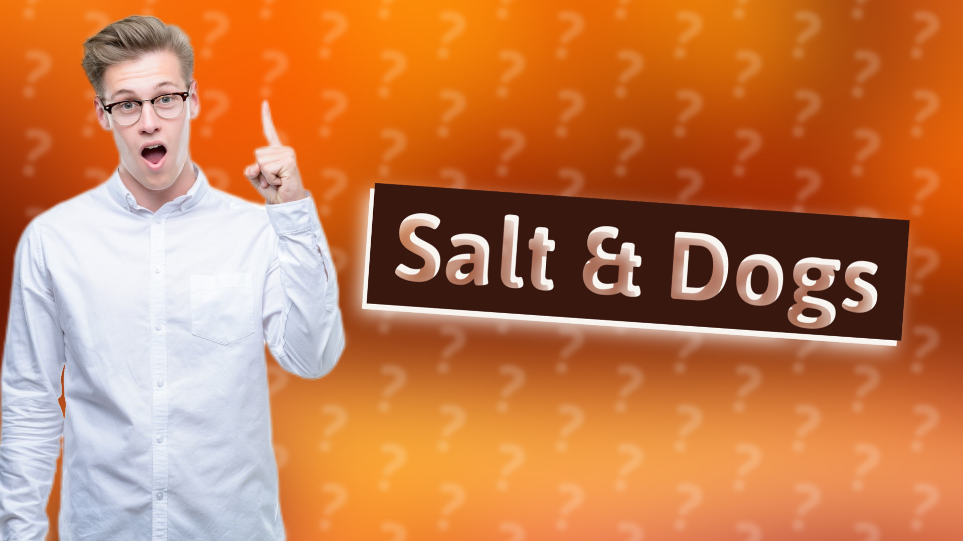 Salt & Dogs