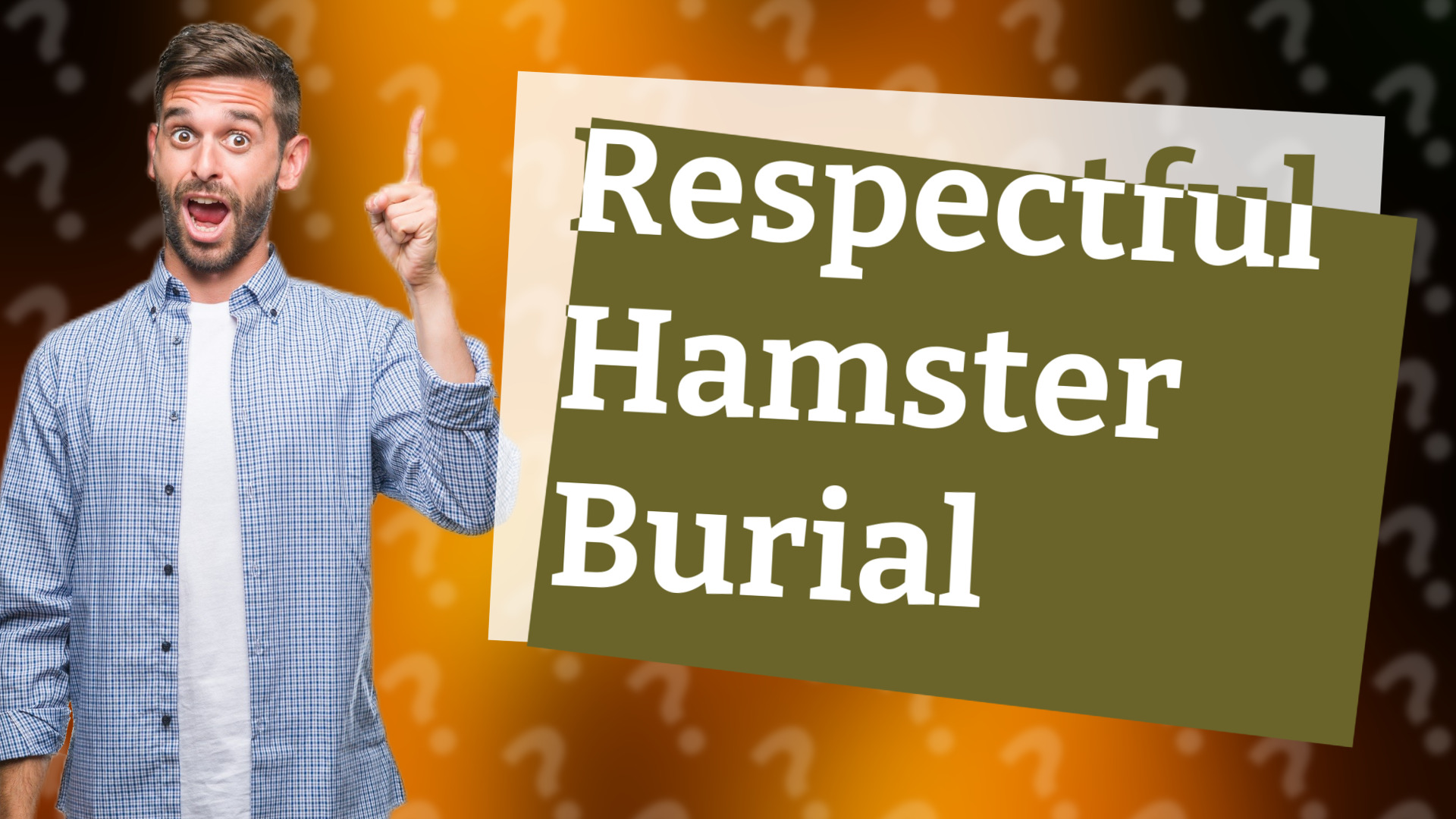Respectful Hamster Burial