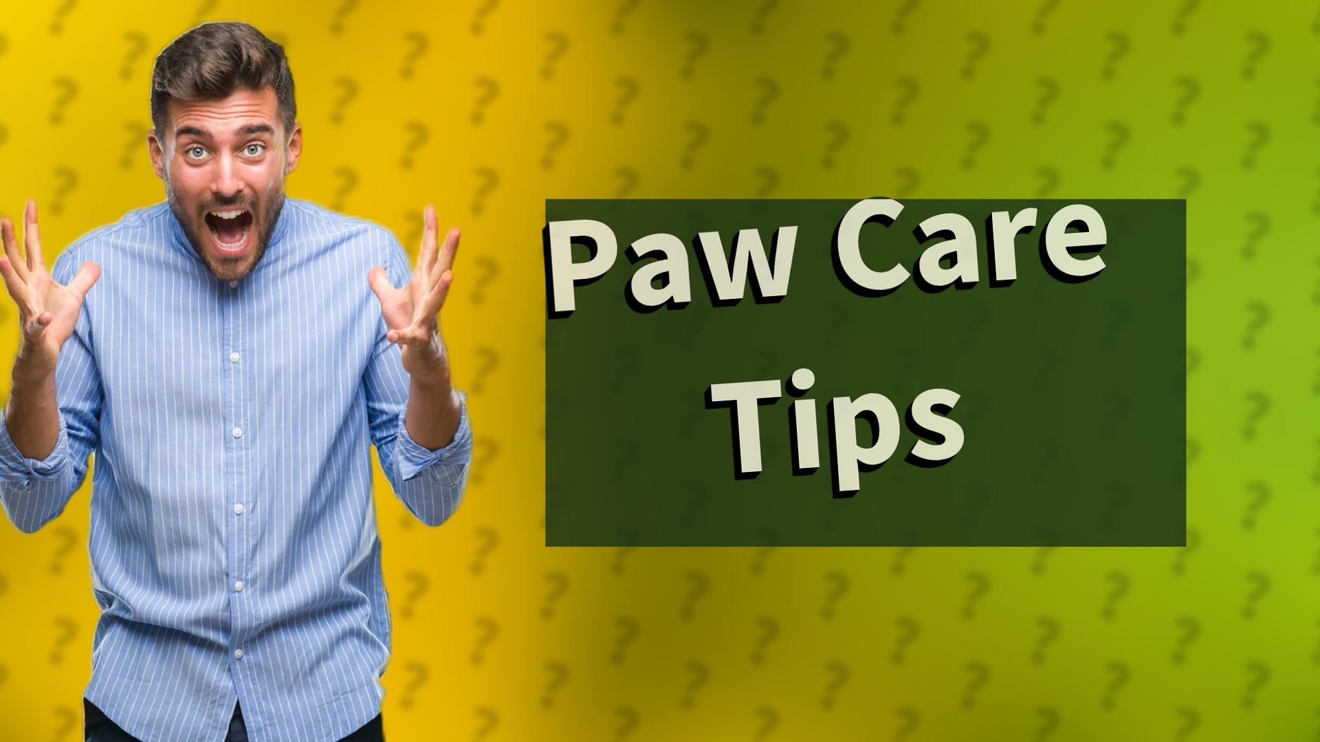 Paw Care Tips