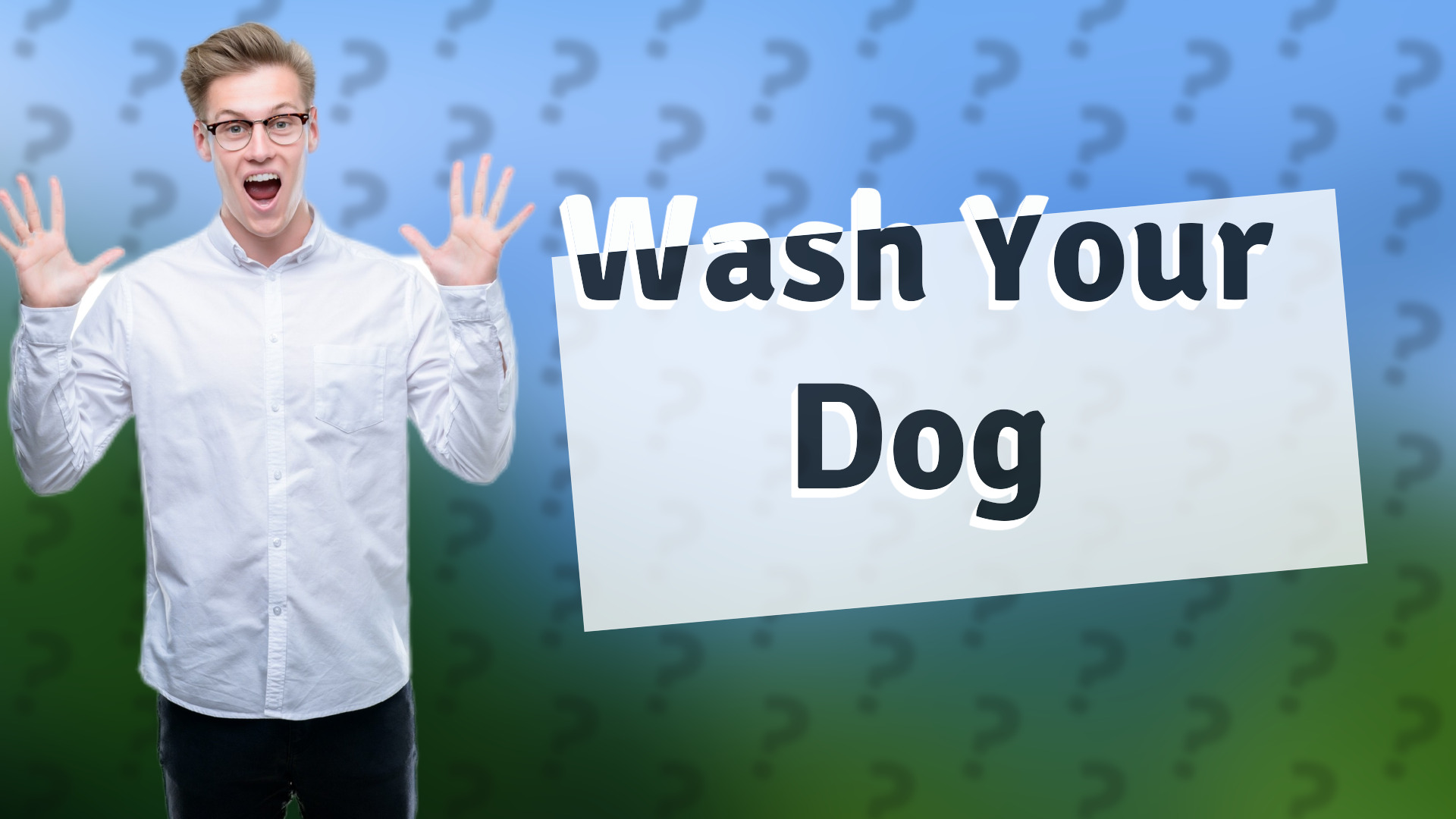 Wash Your Dog
