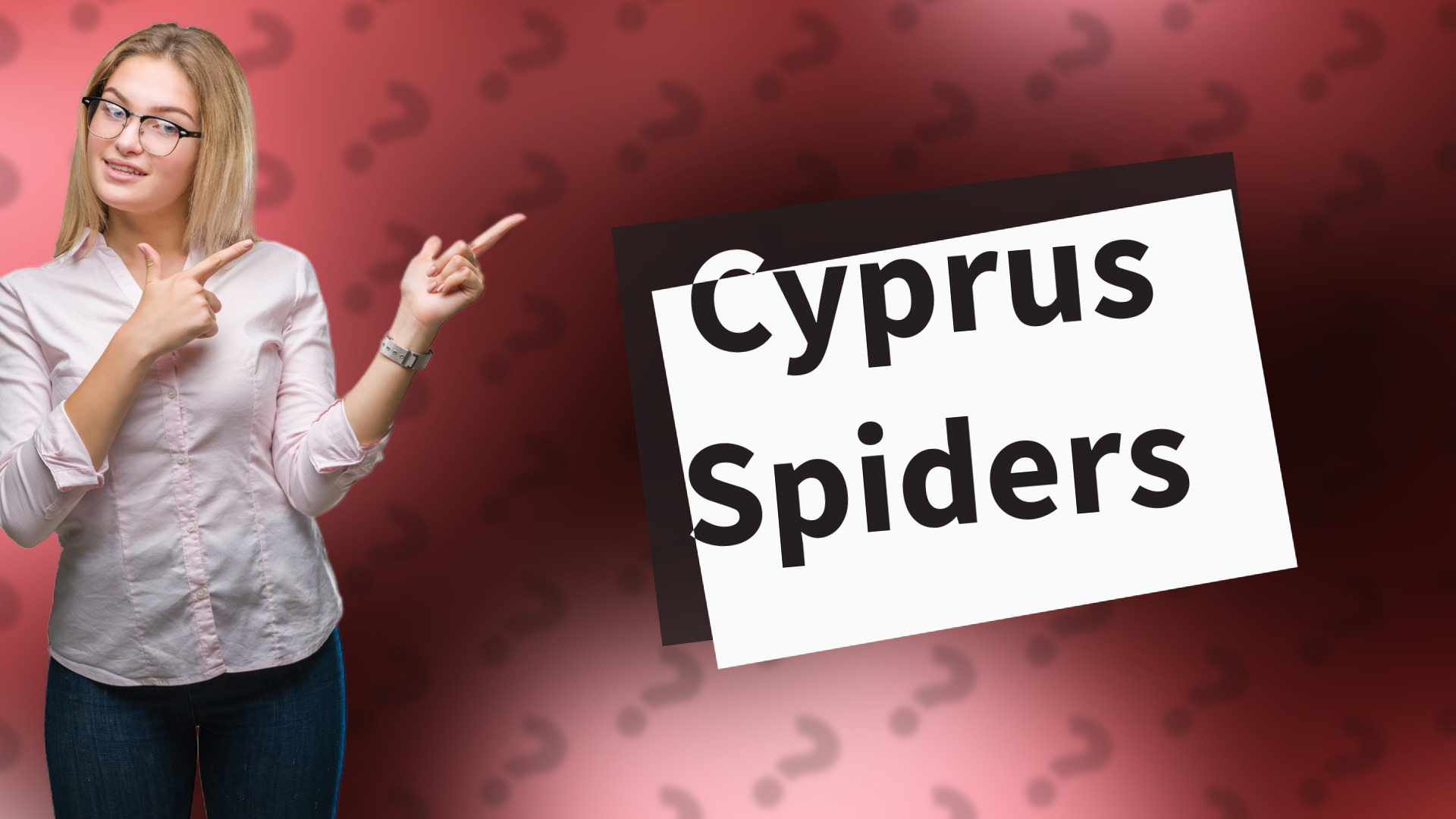 Cyprus Spiders