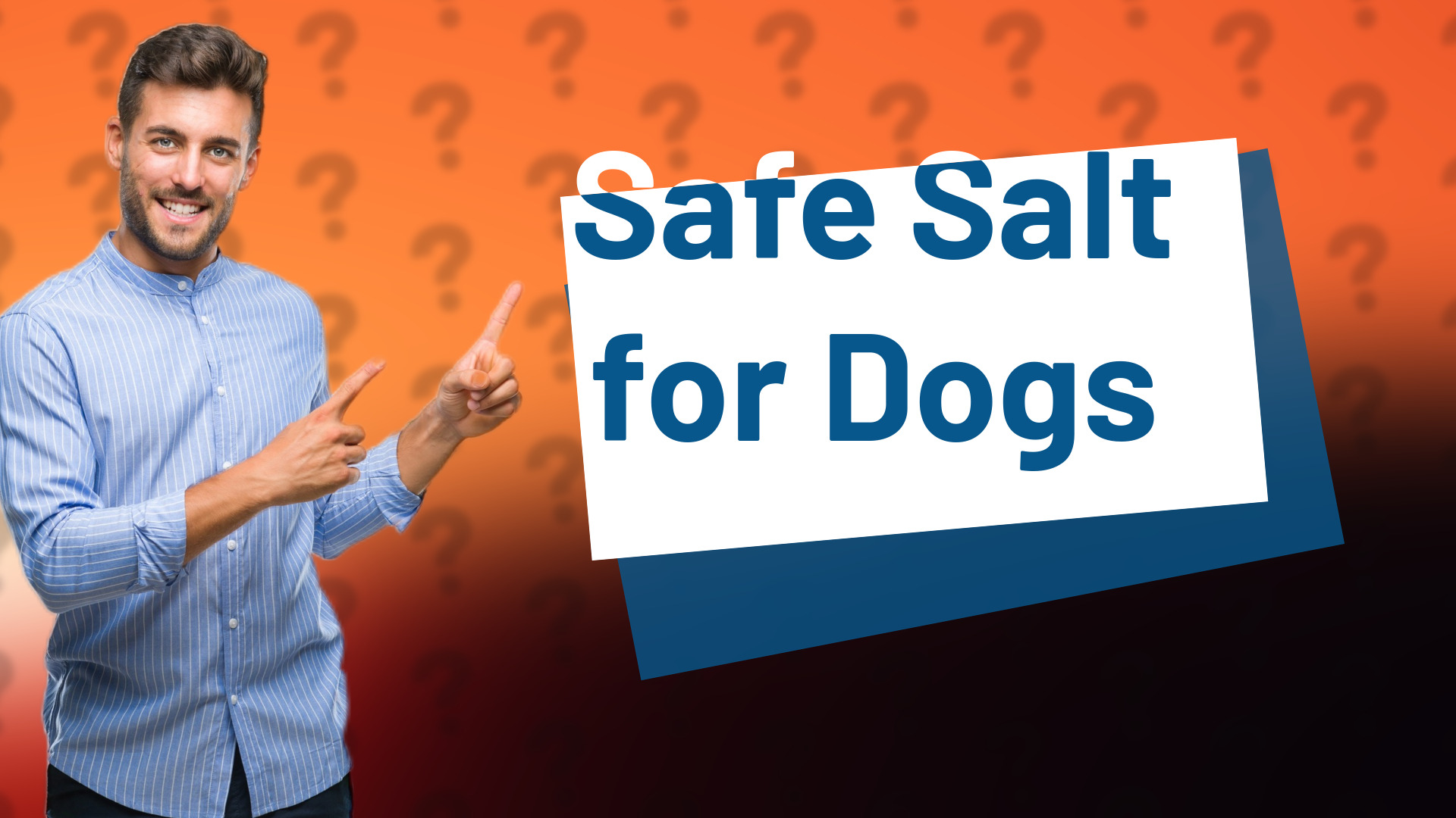 Safe Salt for Dogs