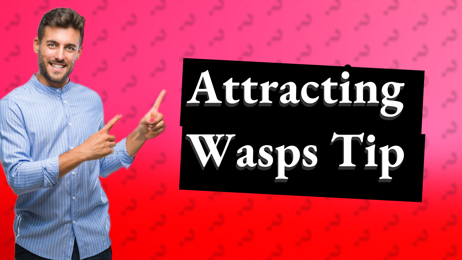 Attracting Wasps Tip