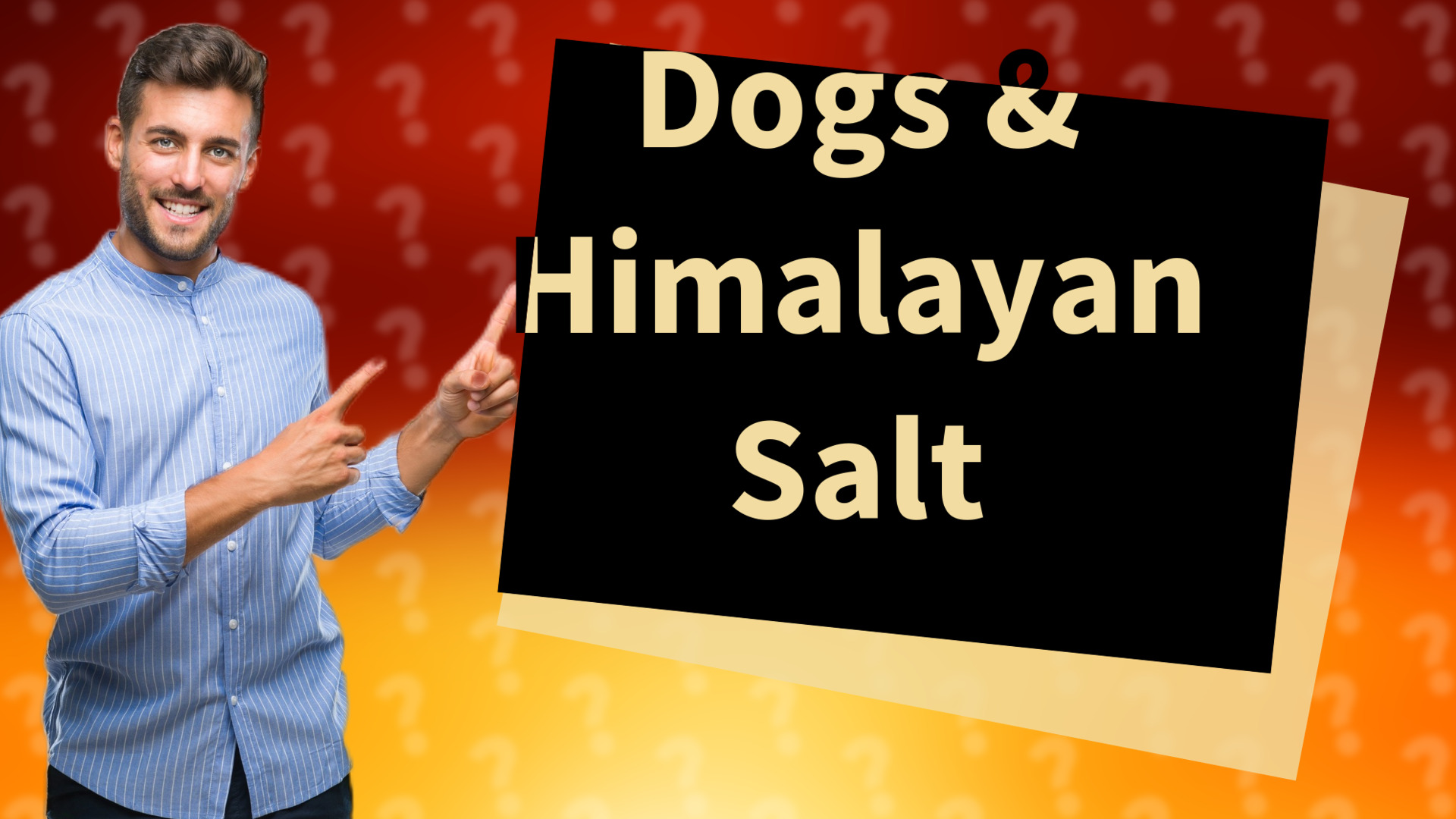 Dogs & Himalayan Salt