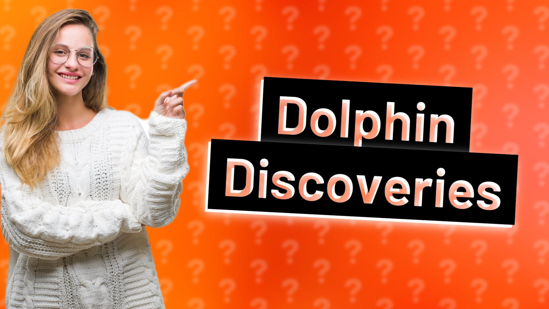 Dolphin Discoveries