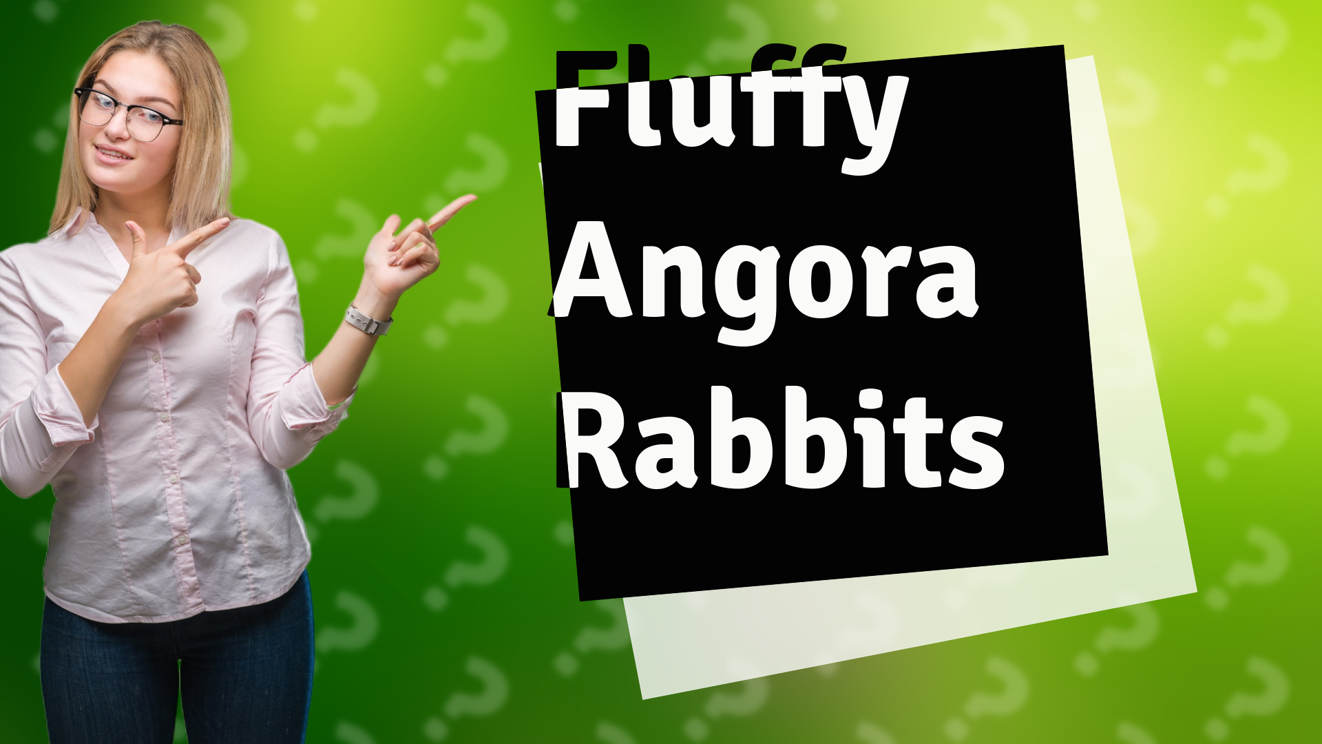 Fluffy Angora Rabbits