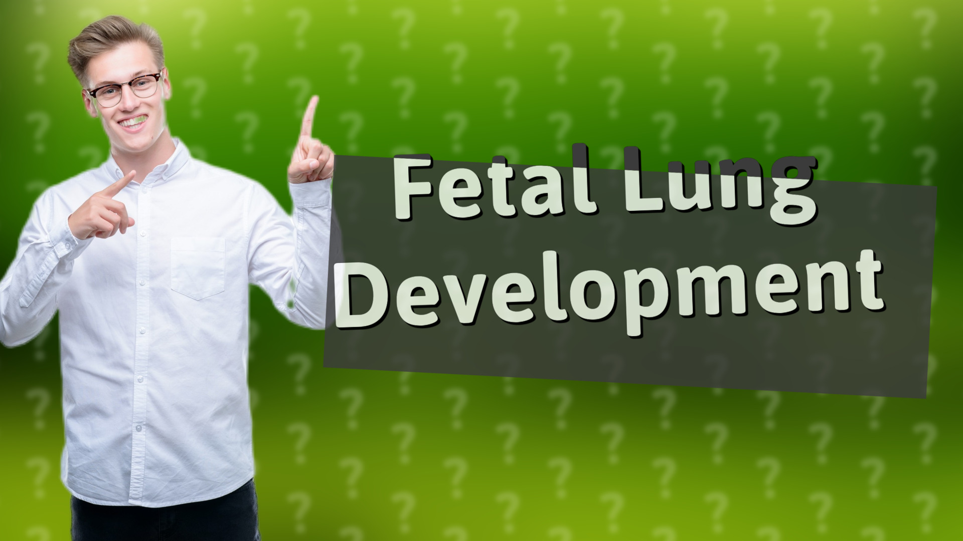 Fetal Lung Development