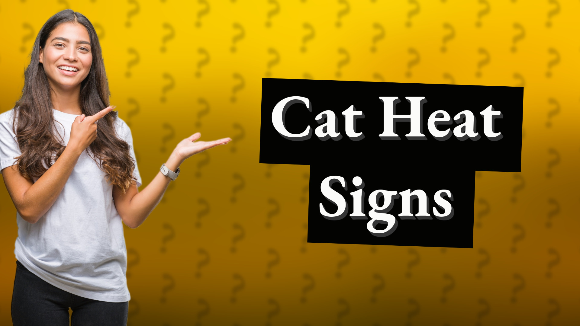 Cat Heat Signs