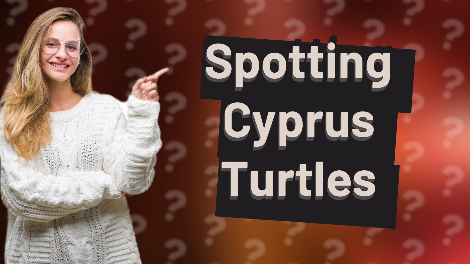 Spotting Cyprus Turtles