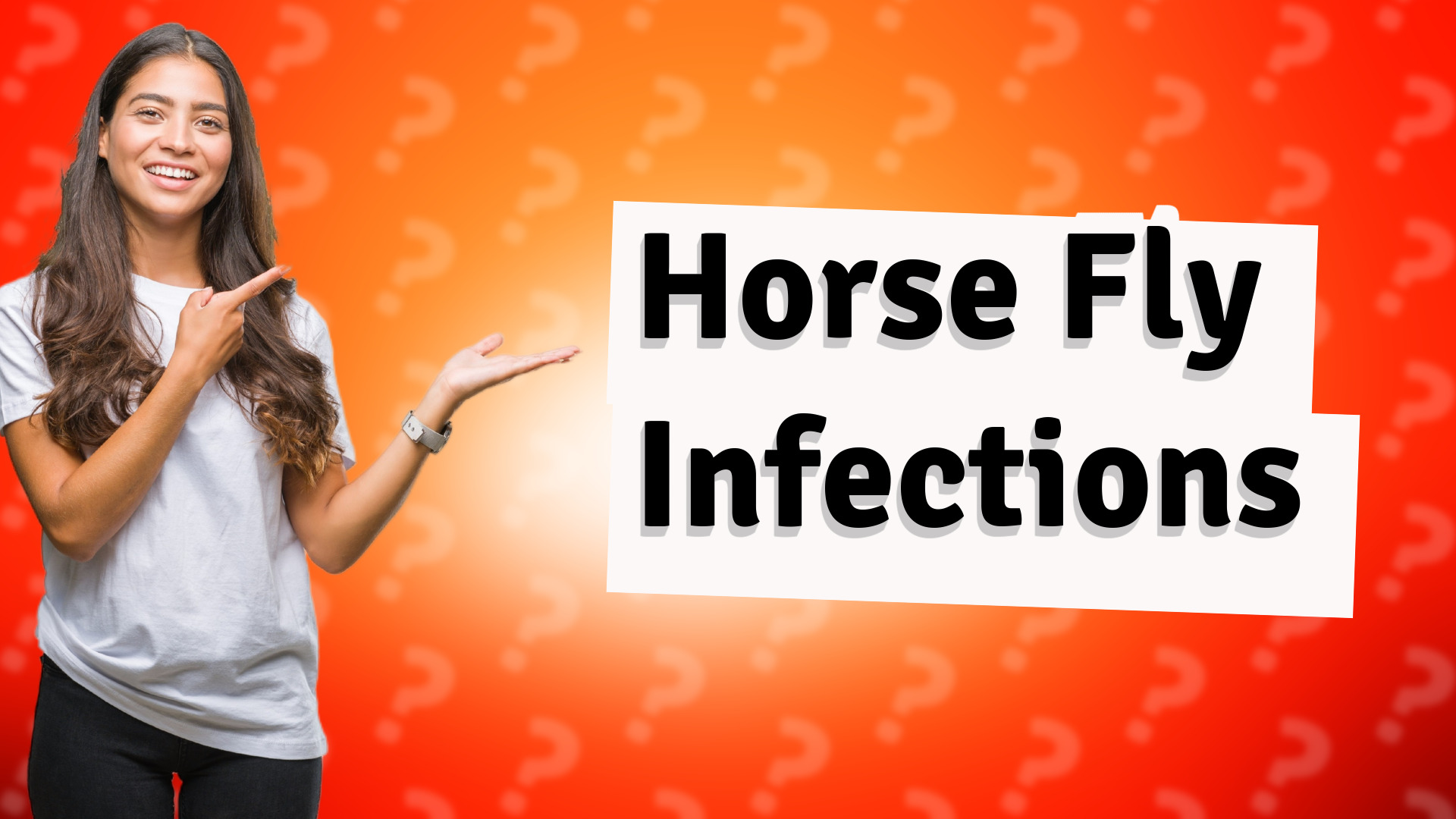Horse Fly Infections