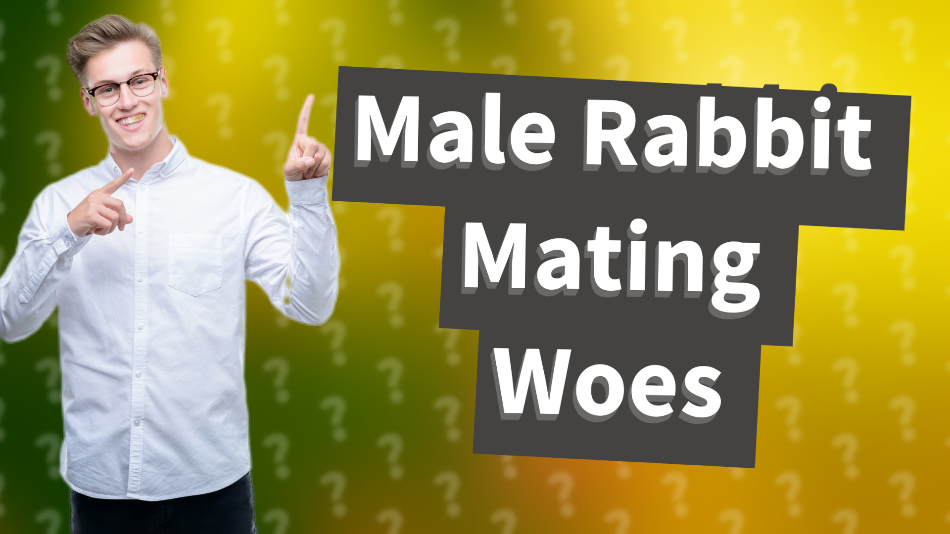 Male Rabbit Mating Woes