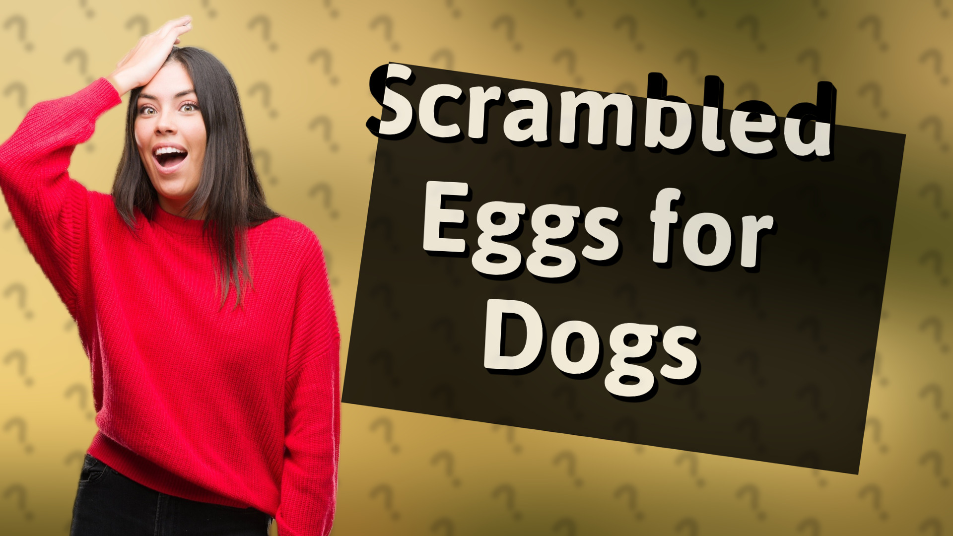 Scrambled Eggs for Dogs