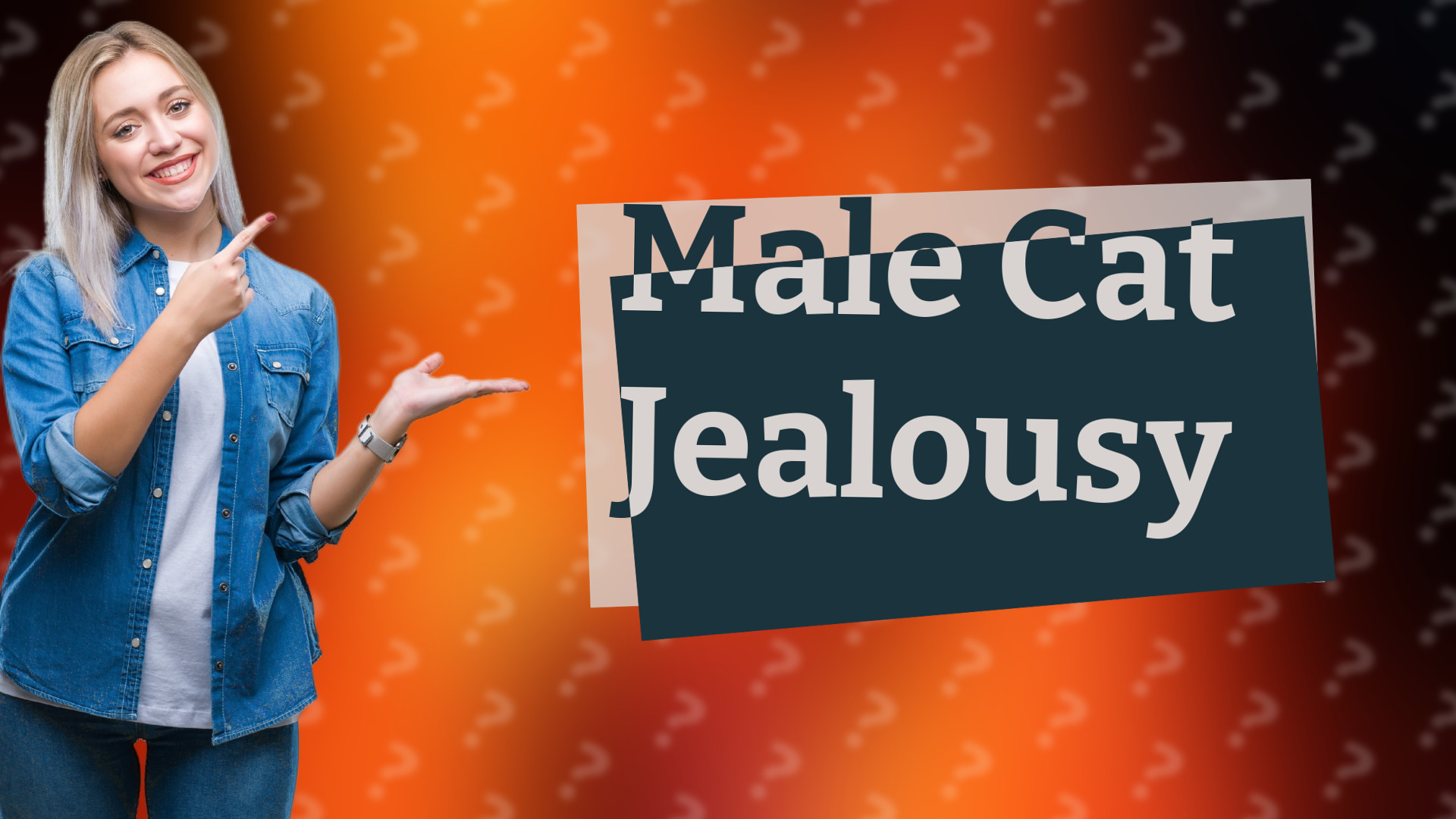 Male Cat Jealousy