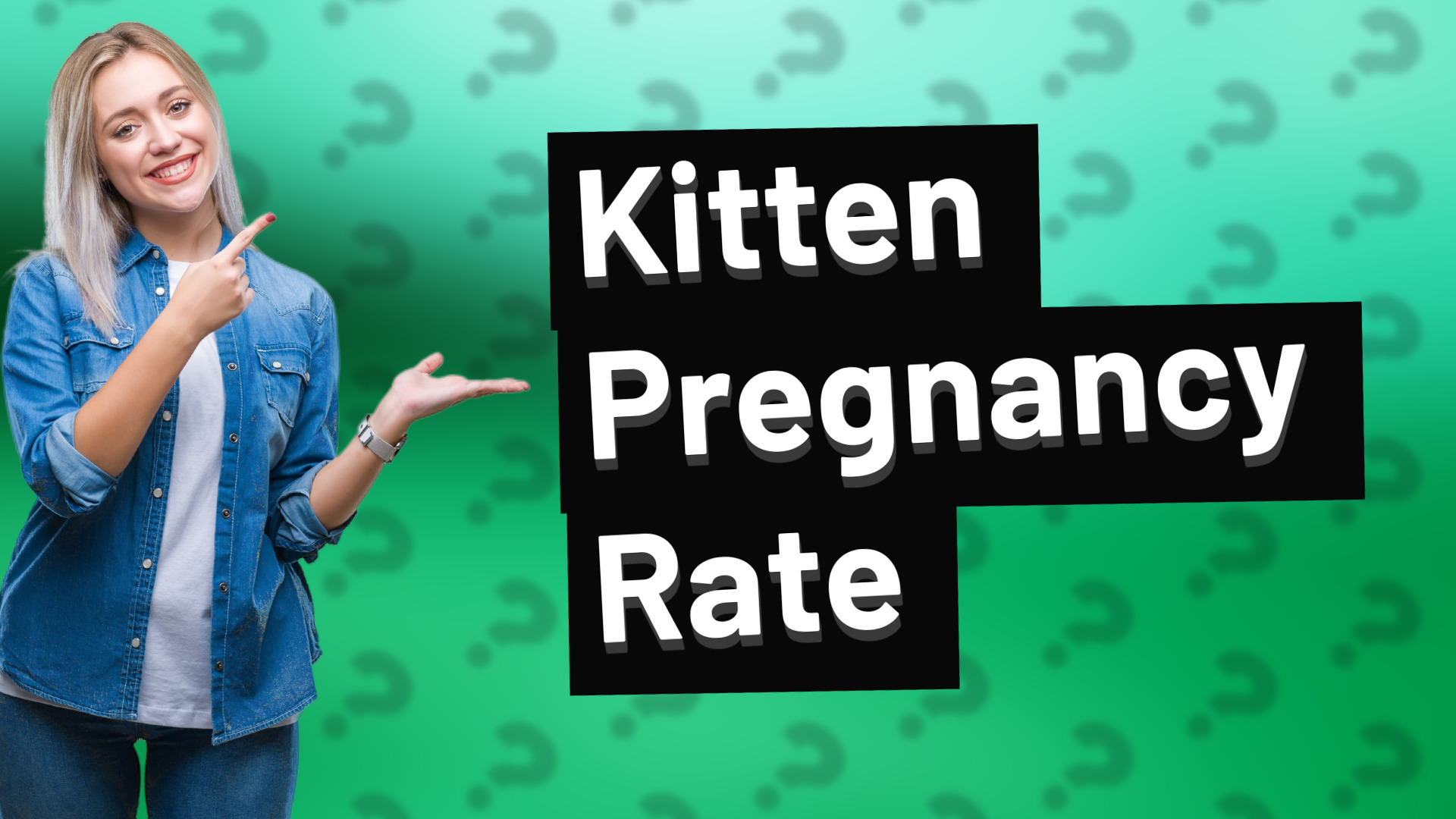 Kitten Pregnancy Rate