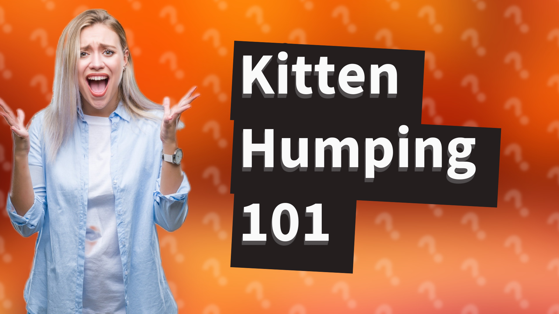 Kitten Humping 101