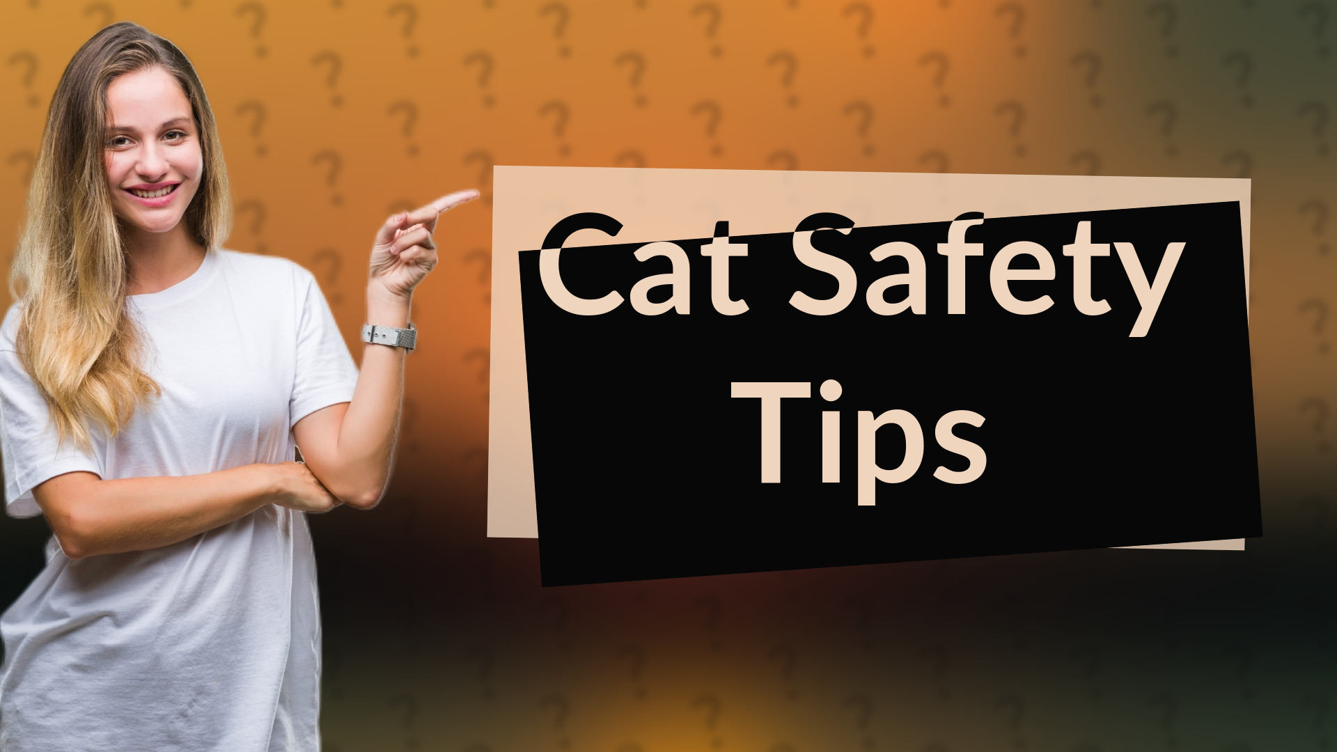 Cat Safety Tips