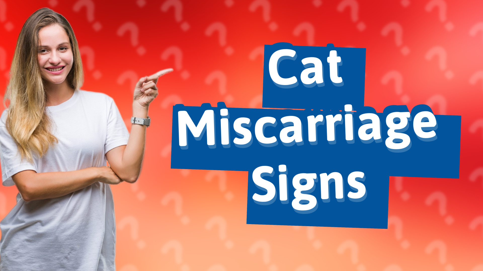 Cat Miscarriage Signs