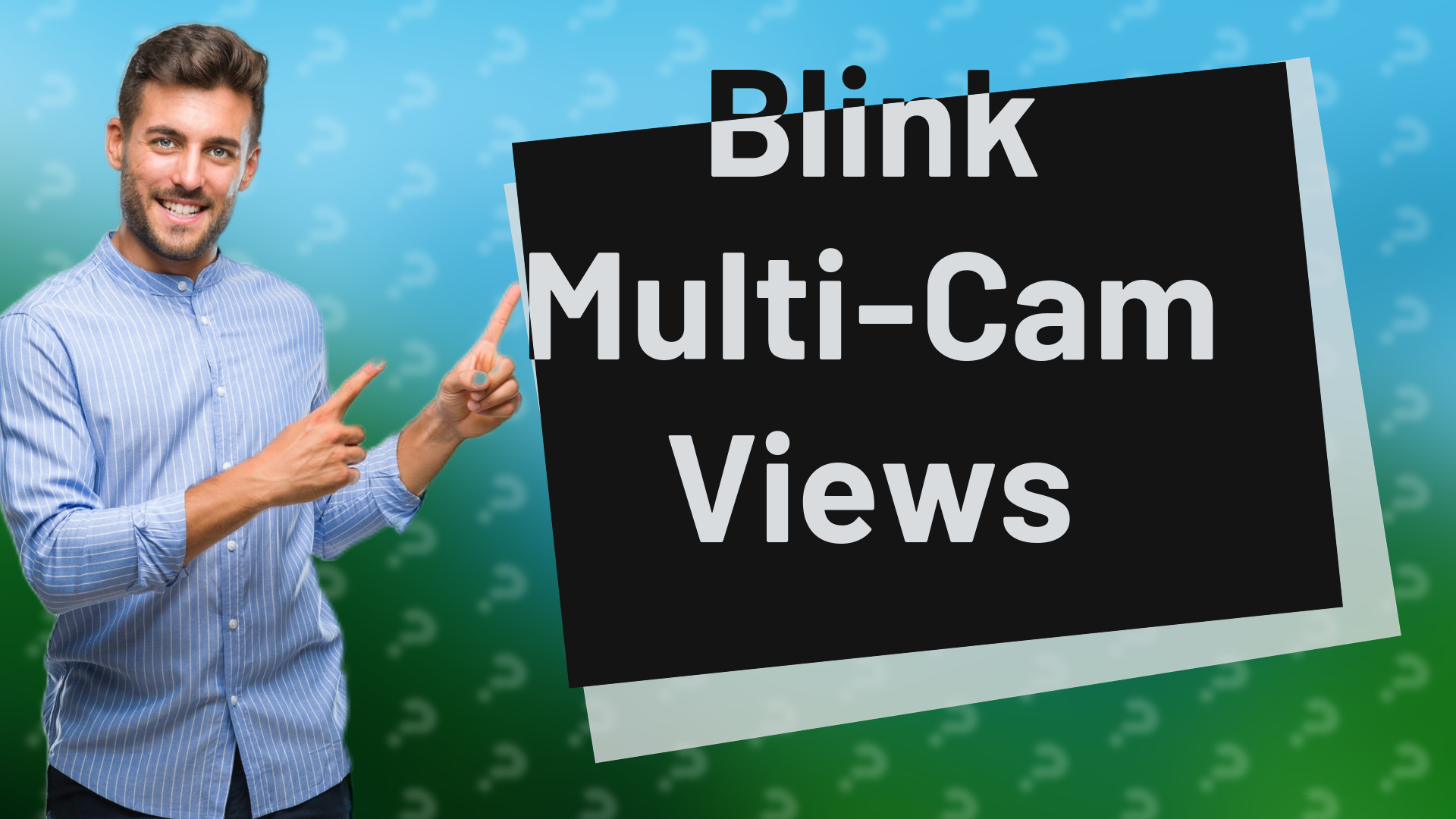 Blink Multi-Cam Views