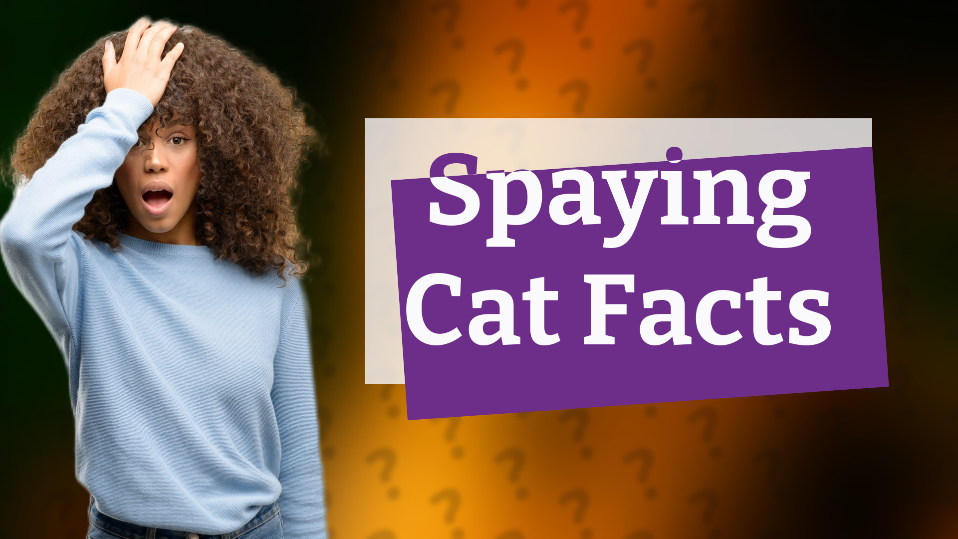 Spaying Cat Facts
